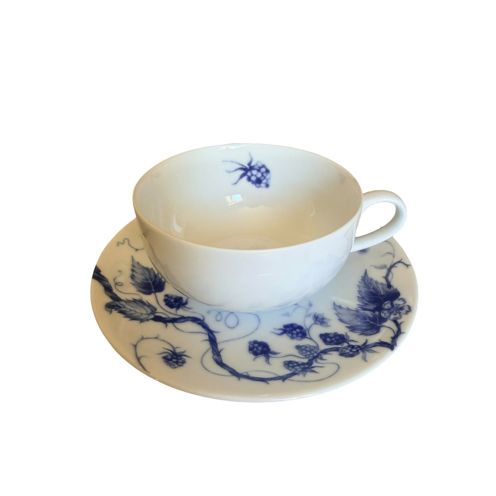 Williams Sonoma Ormonde Rasberry Tea Cup Saucer Individual Blue Porcelain Japan